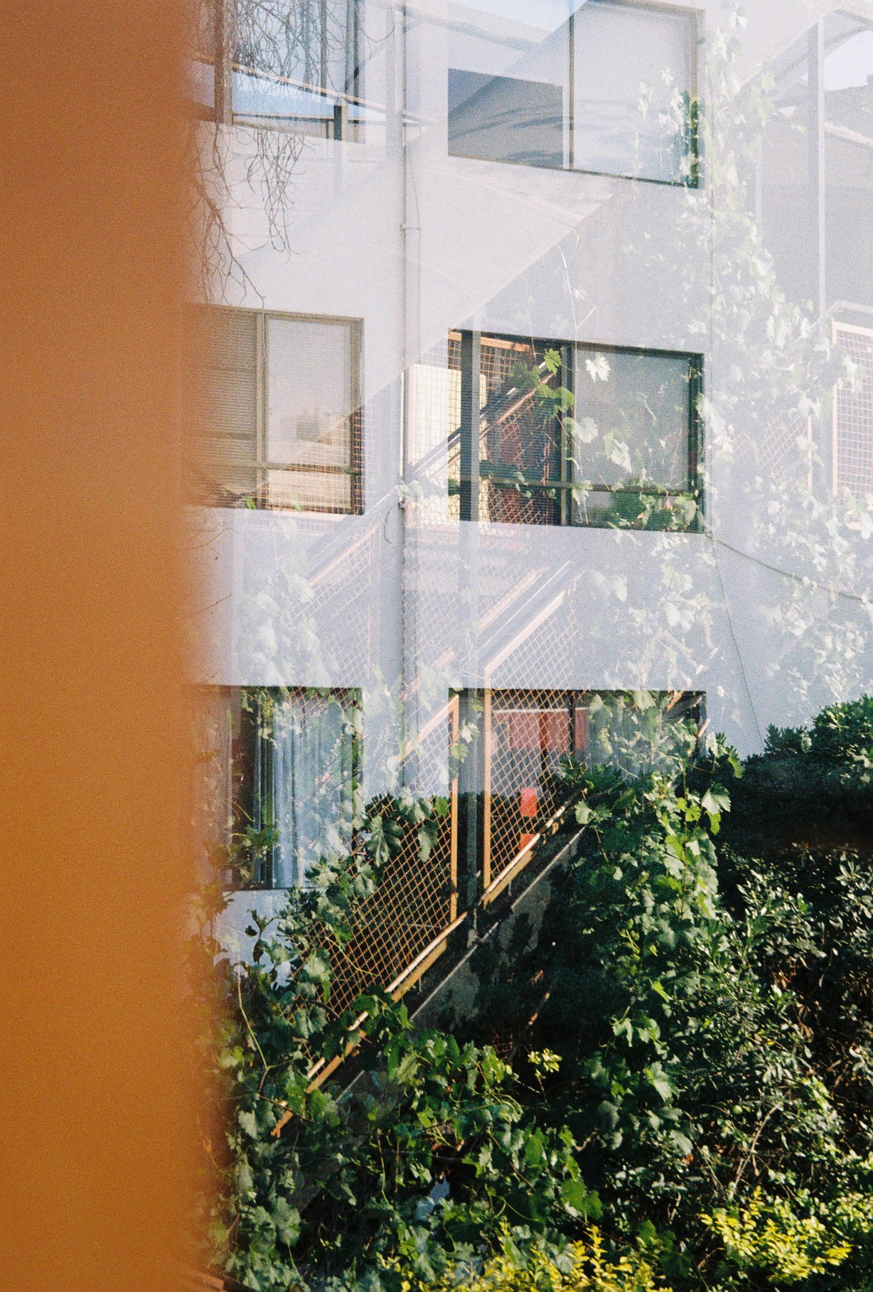 Photography image 1